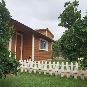 The Mussel House , Ksamil Albânia